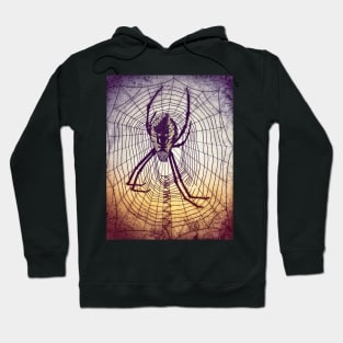 Spider Web in grunge Hoodie